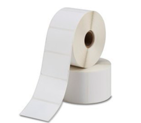 Zebra Thermal Labels 148 x 210mm - Core 76mm